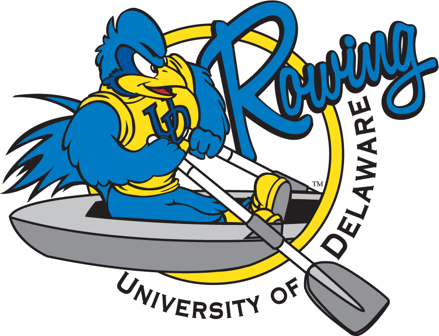 Delaware Blue Hens 1999-2009 Mascot Logo v4 t shirts iron on transfers